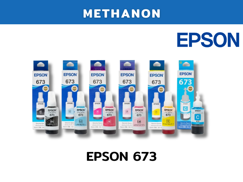 EPSON 673