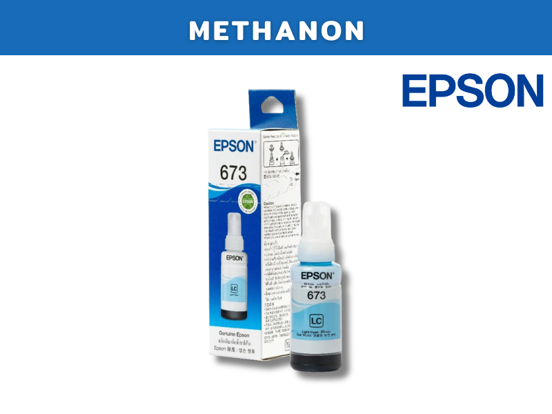 EPSON 673