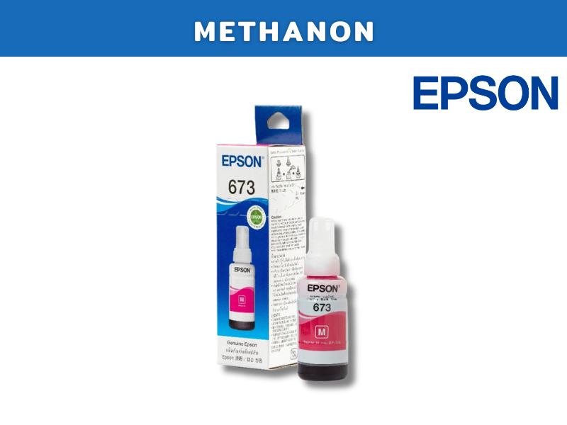EPSON 673