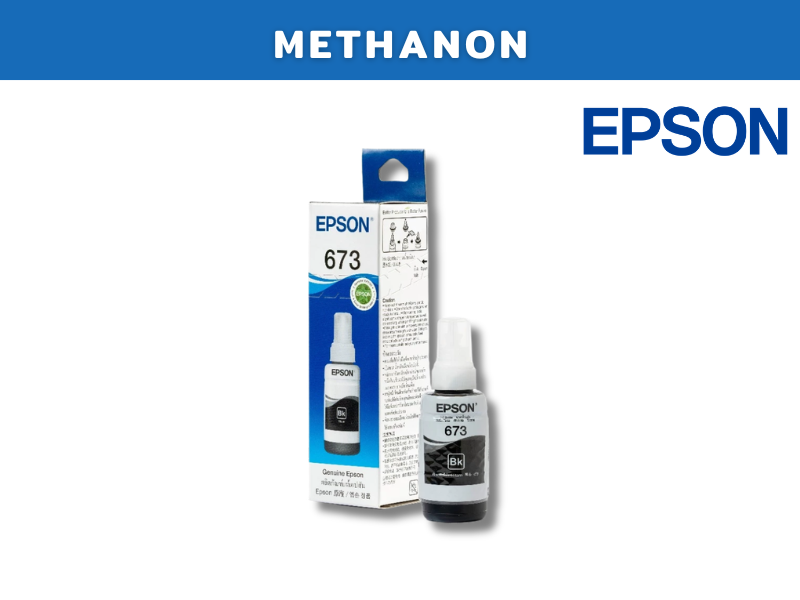 EPSON 673