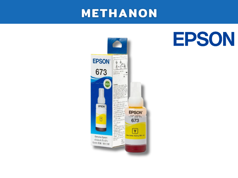 EPSON 673